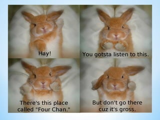 Cute Creatures 