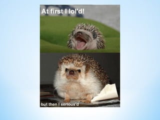 Cute Creatures 