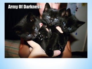 Cute Creatures 