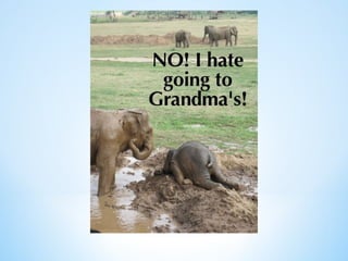 Cute Creatures 