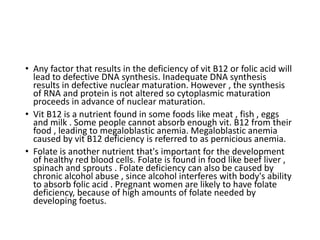 • Any factor that results in the deficiency of vit B12 or folic acid will
lead to defective DNA synthesis. Inadequate DNA synthesis
results in defective nuclear maturation. However , the synthesis
of RNA and protein is not altered so cytoplasmic maturation
proceeds in advance of nuclear maturation.
• Vit B12 is a nutrient found in some foods like meat , fish , eggs
and milk . Some people cannot absorb enough vit. B12 from their
food , leading to megaloblastic anemia. Megaloblastic anemia
caused by vit B12 deficiency is referred to as pernicious anemia.
• Folate is another nutrient that's important for the development
of healthy red blood cells. Folate is found in food like beef liver ,
spinach and sprouts . Folate deficiency can also be caused by
chronic alcohol abuse , since alcohol interferes with body's ability
to absorb folic acid . Pregnant women are likely to have folate
deficiency, because of high amounts of folate needed by
developing foetus.
 