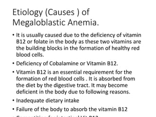 Etiology (Causes ) of
Megaloblastic Anemia.
• It is usually caused due to the deficiency of vitamin
B12 or folate in the body as these two vitamins are
the building blocks in the formation of healthy red
blood cells.
• Deficiency of Cobalamine or Vitamin B12.
• Vitamin B12 is an essential requirement for the
formation of red blood cells . It is absorbed from
the diet by the digestive tract. It may become
deficient in the body due to following reasons.
• Inadequate dietary intake
• Failure of the body to absorb the vitamin B12
 