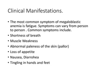 Clinical Manifestations.
• The most common symptom of megaloblastic
anemia is fatigue. Symptoms can vary from person
to person . Common symptoms include.
• Shortness of breath
• Muscle Weakness
• Abnormal paleness of the skin (pallor)
• Loss of appetite
• Nausea, Diarrohea
• Tingling in hands and feet
 