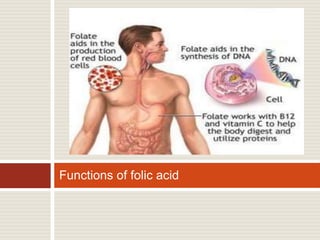 Functions of folic acid
 