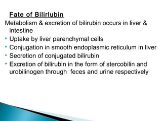 Fate of Bilirlubin
Metabolism & excretion of bilirubin occurs in liver &
intestine
 Uptake by liver parenchymal cells
 Conjugation in smooth endoplasmic reticulum in liver
 Secretion of conjugated bilirubin
 Excretion of bilirubin in the form of stercobilin and
urobilinogen through feces and urine respectively
 