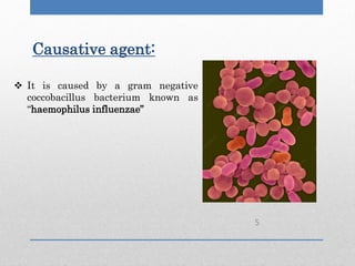 Causative agent:
 It is caused by a gram negative
coccobacillus bacterium known as
“haemophilus influenzae”
5
 