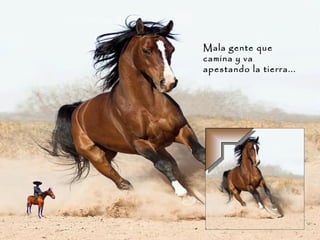 Mala gente que camina y va apestando la tierra... 