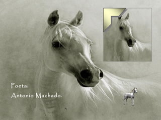 Poeta: Antonio Machado. 