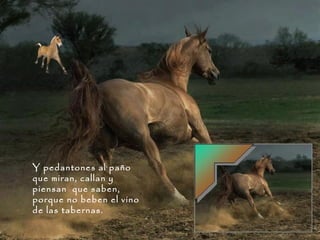 Y pedantones al paño que miran, callan y piensan  que saben, porque no beben el vino de las tabernas. 