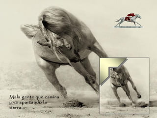 Mala gente que camina y va apartando la tierra... 