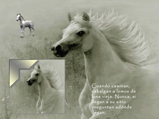 Cuando caminan, cabalgan a lomos de luna vieja. Nunca, si llegan a su sitio preguntan adónde llegan.  