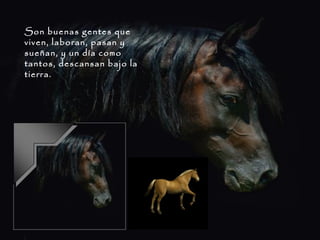 Son buenas gentes que viven, laboran, pasan y sueñan, y un día como tantos, descansan bajo la tierra. 