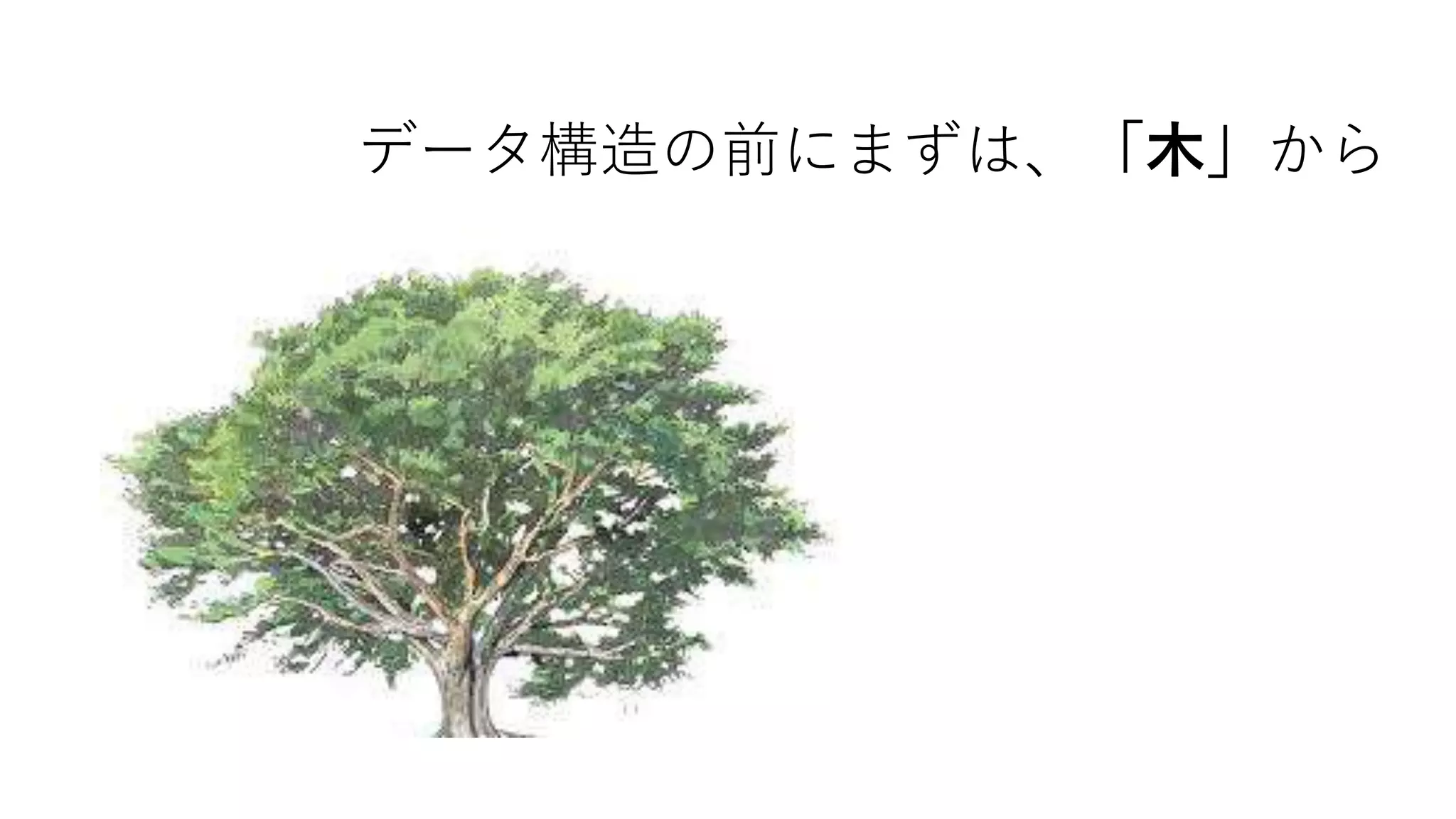 データ構造の前にまずは、「木」から
 