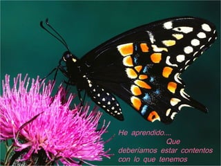 ....He aprendido
Que
deberíamos estar contentos
con lo que tenemos
 