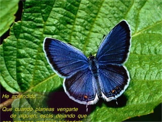 ....He aprendido....He aprendido
Que cuando planeas vengarteQue cuando planeas vengarte
,de alguien estás dejando que,de alguien estás dejando que
 