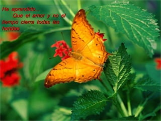 ...He aprendido...He aprendido
Que el amor y no elQue el amor y no el
tiempo cierra todas lastiempo cierra todas las
heridasheridas
 