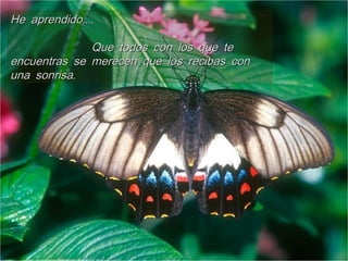 ....He aprendido....He aprendido
Que todos con los que teQue todos con los que te
encuentras se merecen que los recibas conencuentras se merecen que los recibas con
.una sonrisa.una sonrisa
 