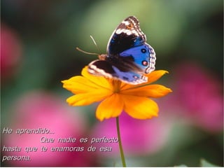 ...He aprendido...He aprendido
Que nadie es perfectoQue nadie es perfecto
hasta que te enamoras de esahasta que te enamoras de esa
.persona.persona
 