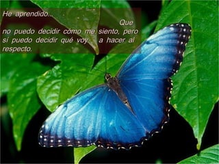 ...He aprendido...He aprendido
QueQue
,no puedo decidir cómo me siento pero,no puedo decidir cómo me siento pero
sí puedo decidir qué voy a hacer alsí puedo decidir qué voy a hacer al
.respecto.respecto
 