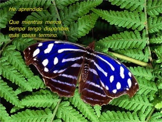 ...He aprendido...He aprendido
Que mientras menosQue mientras menos
,tiempo tengo disponible,tiempo tengo disponible
.más cosas termino.más cosas termino
 