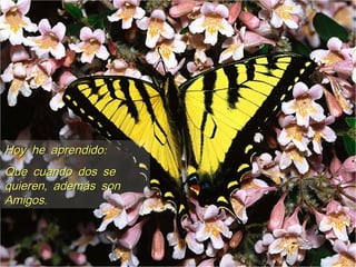 :Hoy he aprendido:Hoy he aprendido
Que cuando dos seQue cuando dos se
,quieren además son,quieren además son
.Amigos.Amigos
 