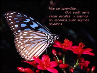 …Hoy he aprendido…Hoy he aprendido
Que sentir tieneQue sentir tiene
varias escalas y algunosvarias escalas y algunos
no sabemos subir algunosno sabemos subir algunos
.peldaños.peldaños
 