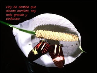 Hoy he sentido queHoy he sentido que
,siendo humilde soy,siendo humilde soy
más grande ymás grande y
.poderoso.poderoso
 