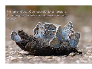 ....He aprendido Que cuando te amarras a....He aprendido Que cuando te amarras a
,tu amargura la felicidad amarrará en otro,tu amargura la felicidad amarrará en otro
.muelle.muelle
 