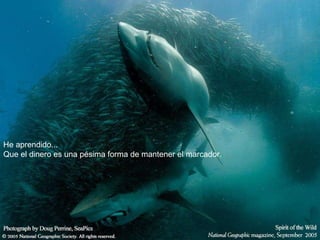 He aprendido... Que el dinero es una pésima forma de mantener el marcador.   