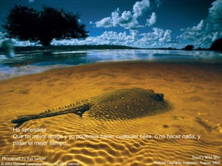 He aprendido... Que mi mejor amigo y yo podemos hacer cualquier cosa, o no hacer nada, y pasar el mejor tiempo.   