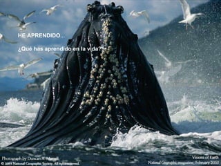 HE APRENDIDO ... ¿Qué has aprendido en la vida?  