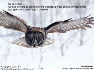 He aprendido... Que no siempre es suficiente ser perdonado por los demás. A veces tienes que aprender a perdonarte a ti mismo. 