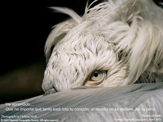 He aprendido... Que no importa qué tanto está roto tu corazón, el mundo no se detiene por tu pena.  