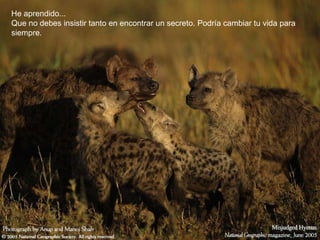 He aprendido... Que no debes insistir tanto en encontrar un secreto. Podría cambiar tu vida para siempre.   