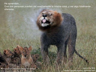 He aprendido... Que dos personas pueden ver exactamente la misma cosa, y ver algo totalmente diferente.  