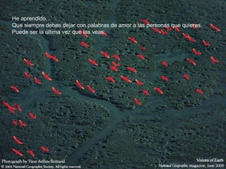 He aprendido... Que siempre debes dejar con palabras de amor a las personas que quieres. Puede ser la última vez que las veas. 