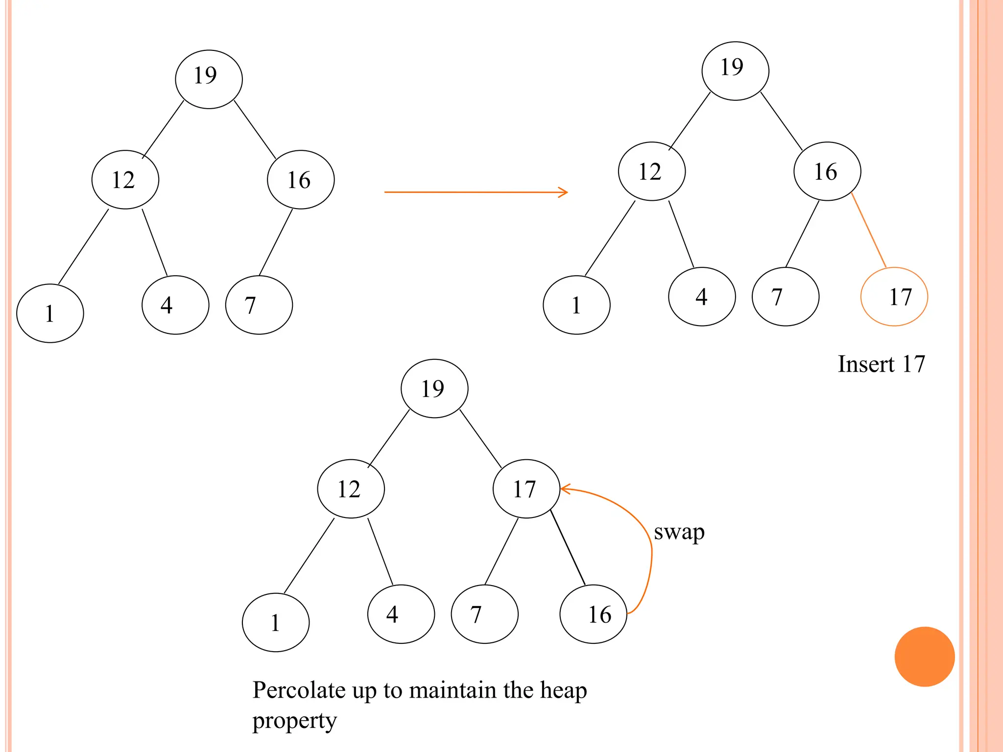 19
12 16
4
1 7
19
12 16
4
1 7 17
19
12 17
4
1 7 16
Insert 17
swap
Percolate up to maintain the heap
property
 