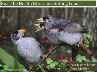 Part 1: Why & How
Anne Madden
Hear the Health Librarians Getting Loud
Images: cc/by licenced
 