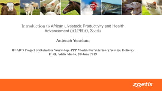 1
Introduction to African Livestock Productivity and Health
Advancement (ALPHA), Zoetis
Anteneh Yenehun
HEARD Project Stakeholder Workshop−PPP Models for Veterinary Service Delivery
ILRI, Addis Ababa, 20 June 2019
 