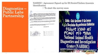 Introduction to African Livestock Productivity and Health Advancement (ALPHA), Zoetis 