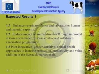 HEARD―Health of Ethiopian Animals for Rural Development in Amhara National Regional State