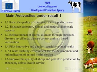 HEARD―Health of Ethiopian Animals for Rural Development in Amhara National Regional State