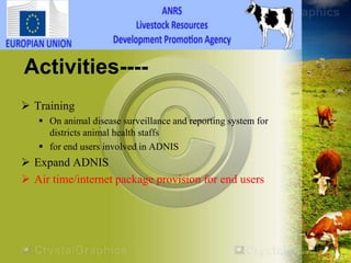 HEARD―Health of Ethiopian Animals for Rural Development in Amhara National Regional State