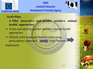 HEARD―Health of Ethiopian Animals for Rural Development in Amhara National Regional State
