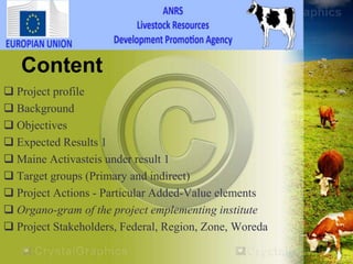 HEARD―Health of Ethiopian Animals for Rural Development in Amhara National Regional State