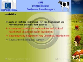 HEARD―Health of Ethiopian Animals for Rural Development in Amhara National Regional State