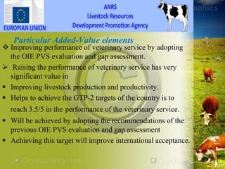 HEARD―Health of Ethiopian Animals for Rural Development in Amhara National Regional State