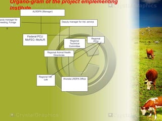 HEARD―Health of Ethiopian Animals for Rural Development in Amhara National Regional State
