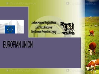 HEARD―Health of Ethiopian Animals for Rural Development in Amhara National Regional State