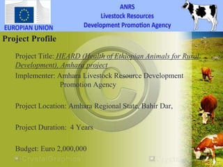 HEARD―Health of Ethiopian Animals for Rural Development in Amhara National Regional State